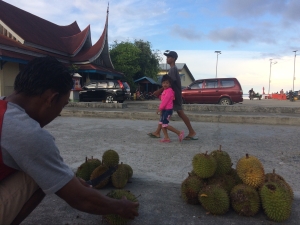 Durian Sipora
